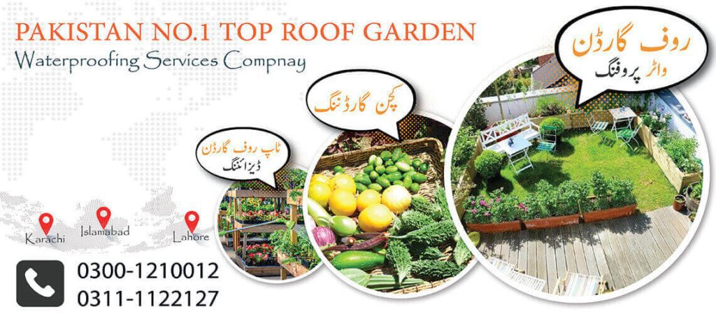 Rooftop Gardening in Pakistan